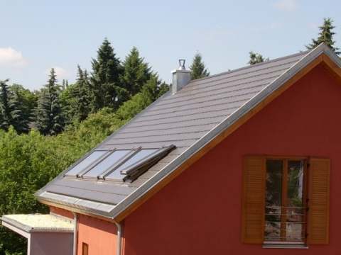 fuchs33-04-g